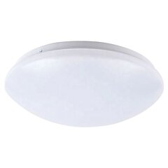 LED laevalgusti Urania, 26 cm, Valge hind ja info | Laelambid | kaup24.ee