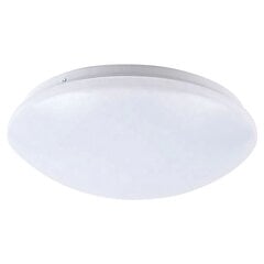 LED laevalgusti Urania, 38 cm, White цена и информация | Потолочные светильники | kaup24.ee