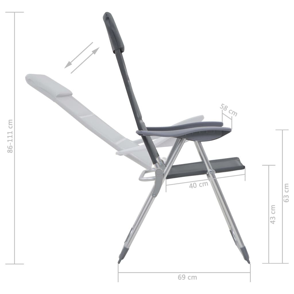 vidaXL matkatoolid 2 tk, hall, 58 x 69 x 111 cm, alumiinium hind ja info | Matkamööbel | kaup24.ee