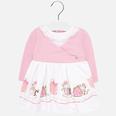 Платье с длинными рукавами, розовое цена и информация | Платья для девочек | kaup24.ee