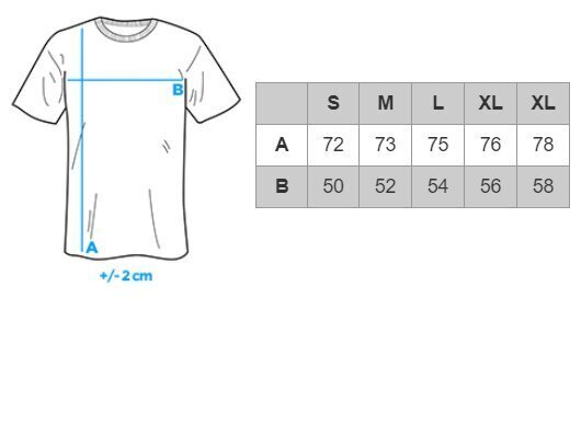 Meeste T-särk Ombre S1370 hall hind ja info | Meeste T-särgid | kaup24.ee