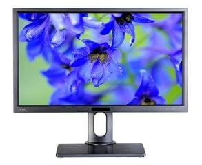 MONITOR BENQ LED 23,8" BL2420PT (WYPRZEDAŻ) цена и информация | Мониторы | kaup24.ee