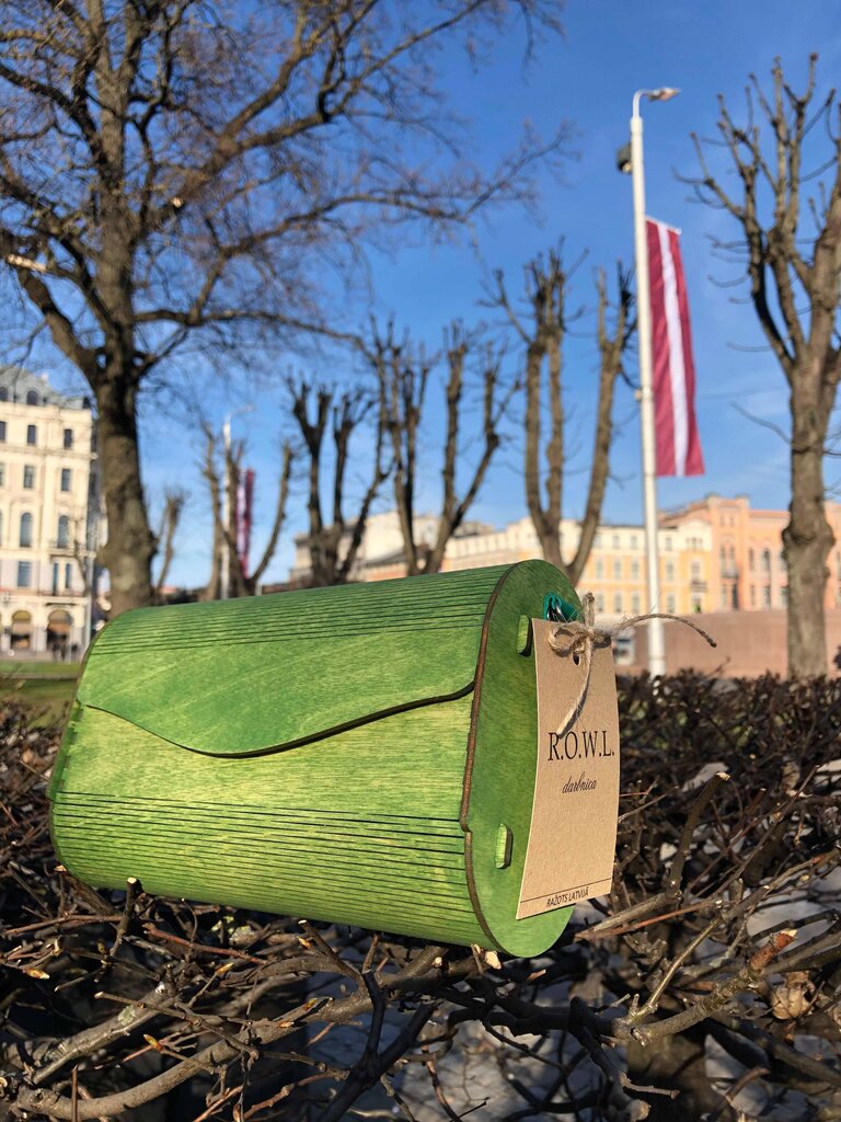 Ainulaadne rohelist värvi puidust käekott naistele hind ja info | Naiste käekotid | kaup24.ee