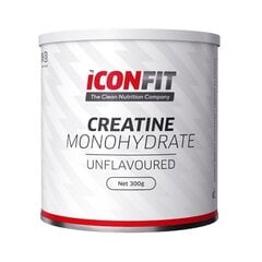 Iconfit Micronized Creatine 300 g (kreatiin monohüdraat) hind ja info | Ergutid | kaup24.ee