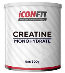 Iconfit Micronized Creatine 300 g (kreatiin monohüdraat) hind ja info | Ergutid | kaup24.ee