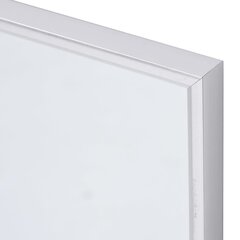 vidaXL peegel, hõbedane, 100 x 60 cm hind ja info | Peeglid | kaup24.ee