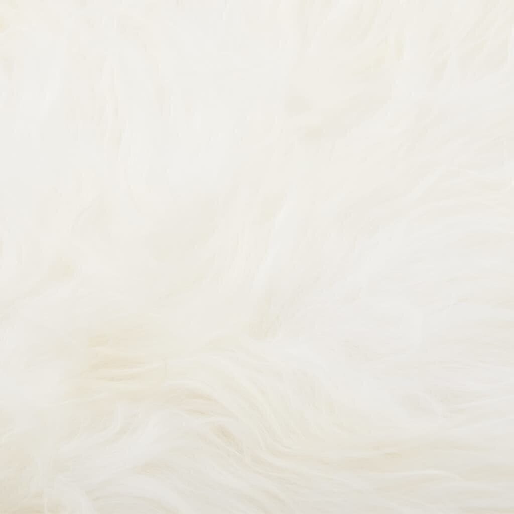 vidaXL Islandi lambanahast vaip, kreemjas, 70 x 110 cm hind ja info | Vaibad | kaup24.ee