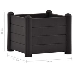 vidaXL aia taimelava PP antratsiithall 43 x 43 x 35 cm цена и информация | Вазоны | kaup24.ee