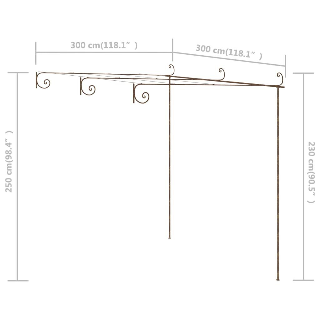 vidaXL lehtla, antiikpruun, 3 x 3 x 2,5 m, raud цена и информация | Vaasid, alused, redelid lilledele | kaup24.ee