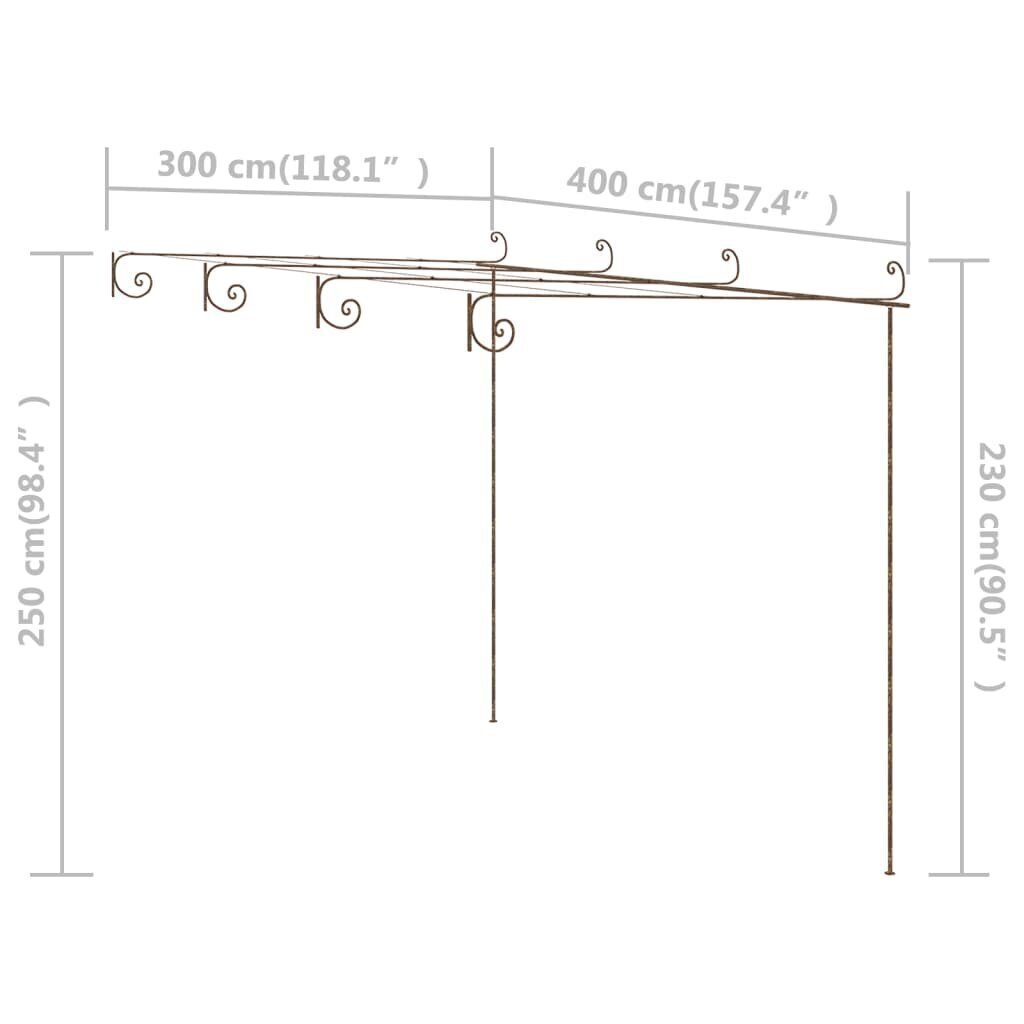 vidaXL lehtla, antiikpruun, 4 x 3 x 2,5 m, raud цена и информация | Vaasid, alused, redelid lilledele | kaup24.ee