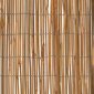 vidaXL bambusaed 500 x 100 cm hind ja info | Aiad ja tarvikud | kaup24.ee