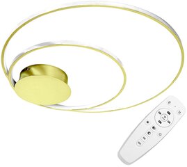 LED laevalgusti kaugjuhtimispuldiga Saturn, Gold цена и информация | Потолочные светильники | kaup24.ee