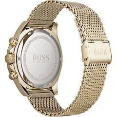 Часы Hugo Boss 1513703 цена и информация | Мужские часы | kaup24.ee