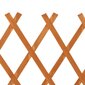vidaXL aiavõre, oranž, 120 x 90 cm, nulupuit hind ja info | Aiad ja tarvikud | kaup24.ee