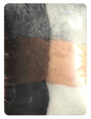 Набор шерсти для валяния, 200 г, 6 цветов цена и информация | Принадлежности для валяния | kaup24.ee