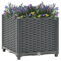 vidaXL taimekast 40 x 40 x 38 cm, polüpropüleen цена и информация | Ящики для цветов | kaup24.ee