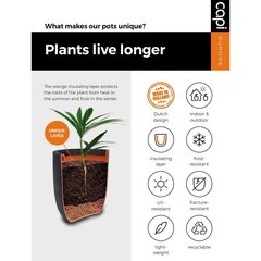 Capi munakujuline taimekast "Clay" 43 x 41 cm elevandiluu värvi hind ja info | Istutus- ja turbapotid | kaup24.ee