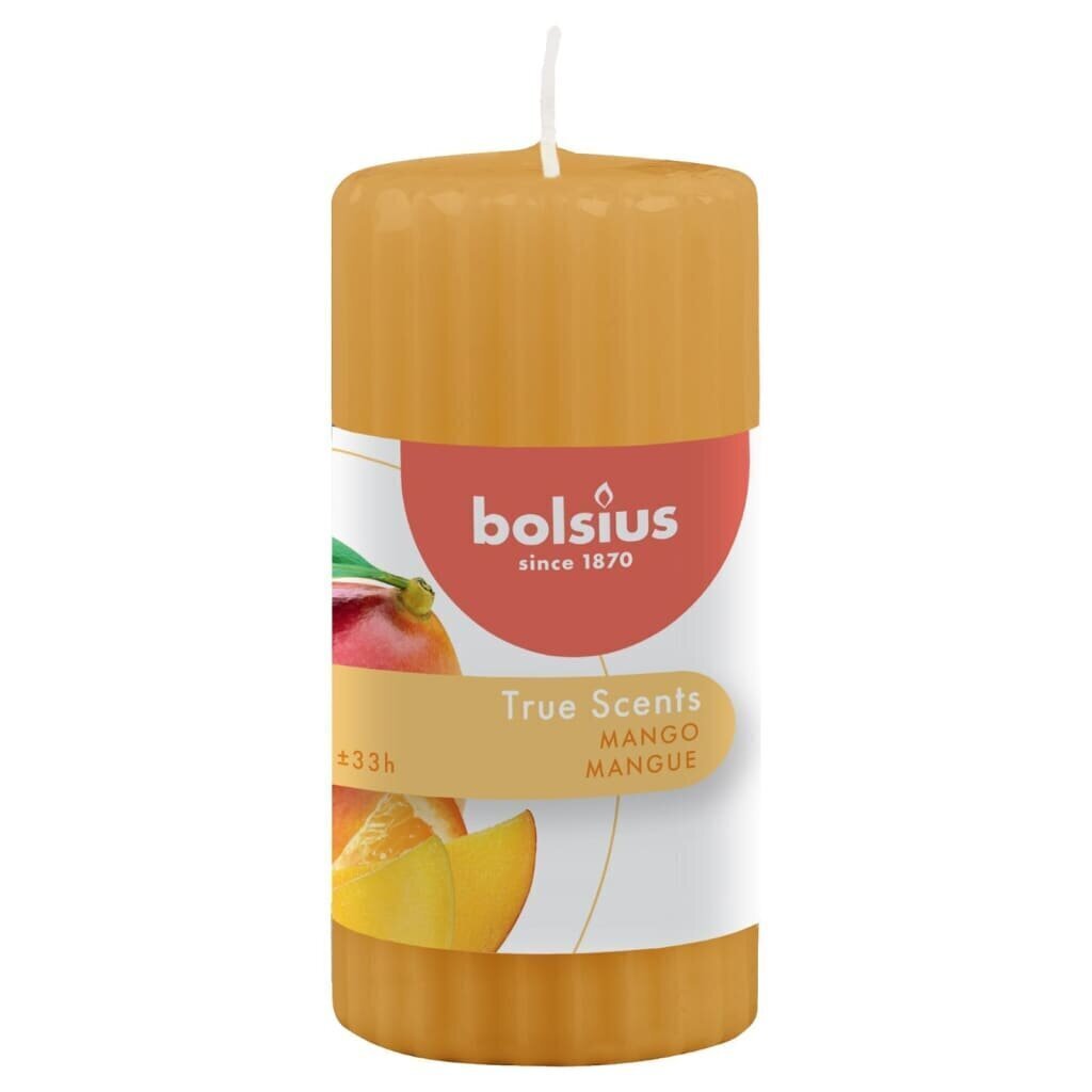 Bolsius ribidega lõhnaküünlad 6 tk 120 x 58 mm mango hind ja info | Küünlad, küünlajalad | kaup24.ee