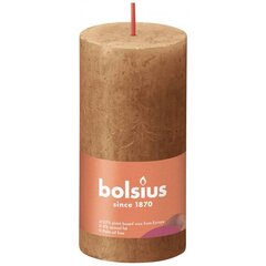 Bolsius sammasküünlad Shine 8 tk 100x50 mm vürtsipruun цена и информация | Свечи, подсвечники | kaup24.ee