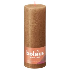 Bolsius sammasküünlad Shine 6 tk 190 x 68 mm vürtsipruun цена и информация | Подсвечники, свечи | kaup24.ee