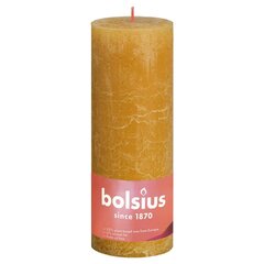 Bolsius sammasküünlad Shine 6 tk 190 x 68 mm meekollane цена и информация | Подсвечники, свечи | kaup24.ee