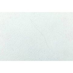 Grosfillex seinakatteplaat "Gx Wall+", 5 tk, kivi, 45x90 cm, valge цена и информация | Элементы декора для стен, потолка | kaup24.ee