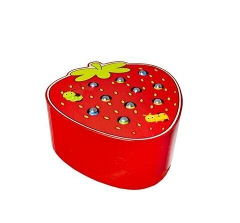 Arendav magnetmäng maasika kujul "Püüa uss kinni" цена и информация | Arendavad mänguasjad | kaup24.ee