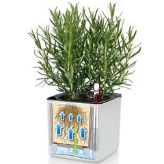 LECHUZA taimekastid 3 tk "Green Wall Home Kit" valge hind ja info | Dekoratiivsed lillepotid | kaup24.ee