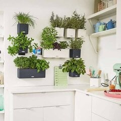 LECHUZA taimekastid 3 tk "Green Wall Home Kit" kiltkivi цена и информация | Вазоны | kaup24.ee