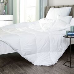Eurofirany одеяло Silver, 160x200 см цена и информация | Одеяла | kaup24.ee