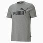 Puma meeste T-särk 586666*03, hall 4063697404564 цена и информация | Meeste T-särgid | kaup24.ee