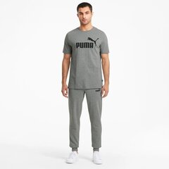 Puma мужская футболка 586666*03, серый 4063697404564 цена и информация | Meeste T-särgid | kaup24.ee