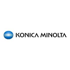 Konica-Minolta TNP-49 (A95W150), черный картридж для лазерных принтеров, 13000 страниц. цена и информация | Картриджи и тонеры | kaup24.ee