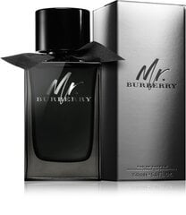 Meeste parfüüm Mr Burberry Burberry EDP: Maht - 150 ml hind ja info | Meeste parfüümid | kaup24.ee