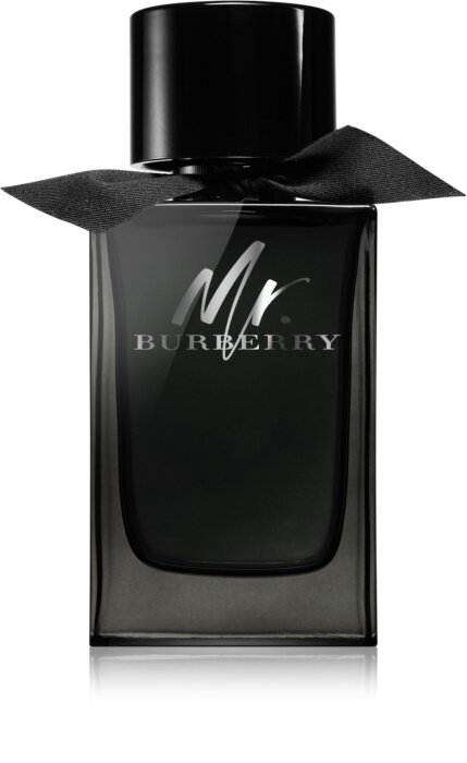 Meeste parfüüm Mr Burberry Burberry EDP: Maht - 150 ml цена и информация | Meeste parfüümid | kaup24.ee