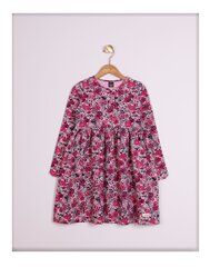 Pikkade varrukatega kleit hind ja info | Tüdrukute kleidid | kaup24.ee