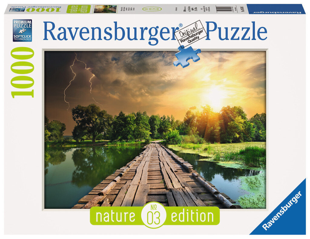 Ravensburger: pusle 1000tk. - Müstiline taevas цена и информация | Pusled | kaup24.ee