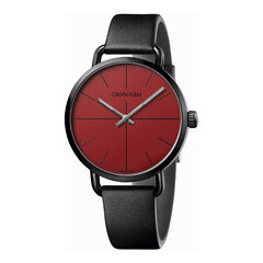 Мужские часы Calvin Klein K7B214CP цена и информация | Мужские часы | kaup24.ee