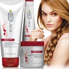 Šampoon kahjustatud juustele Matrix Biolage Repairinside 250 ml цена и информация | Шампуни | kaup24.ee