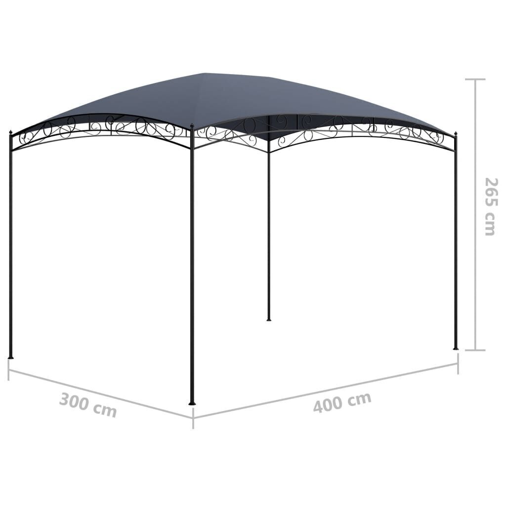 vidaXL lehtla 3x4x2,65 m, antratsiithall 180 g/m² hind ja info | Varikatused ja aiapaviljonid | kaup24.ee