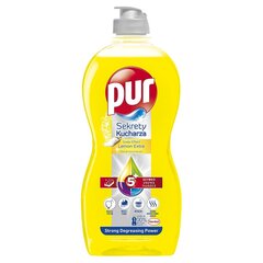 Nõudepesuvahend Pur Duo Power Lemon, 450 ml цена и информация | Средства для мытья посуды | kaup24.ee
