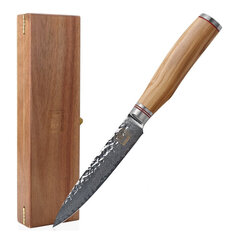 Jaapani Damaskuse nuga Zayiko, oliivi seeria, universaalne (utiliit), 12,5 cm hind ja info | Noad ja tarvikud | kaup24.ee