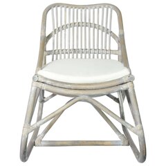 vidaXL rotangist tool, hall, lina hind ja info | Tugitoolid ja tugitoolvoodid | kaup24.ee