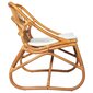 vidaXL rotangist tool, helepruun, lina hind ja info | Tugitoolid ja tugitoolvoodid | kaup24.ee