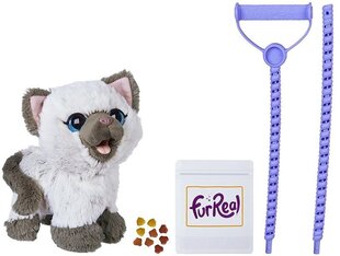 Игрушечный котенок с поводком FurReal, C1156 цена и информация | Мягкие игрушки | kaup24.ee