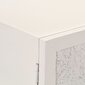 Külgkapp, 115x30x76 cm, valge hind ja info | Elutoa väikesed kapid | kaup24.ee