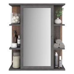 FMD peegliga vannitoakapp, vanaaegne stiil, tume hind ja info | Vannitoakapid | kaup24.ee