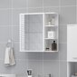 vidaXL vannitoa peeglikapp valge 62,5x20,5x64 cm puitlaastplaat hind ja info | Vannitoakapid | kaup24.ee