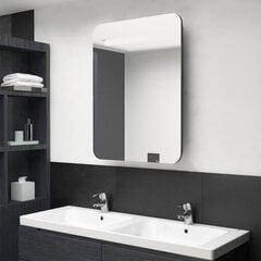 vidaXL LEDidega vannitoa peegelkapp, hall, 60 x 11 x 80 cm hind ja info | Vannitoakapid | kaup24.ee