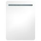 vidaXL LED-idega vannitoa peegelkapp, valge ja tamm, 60 x 11 x 80 cm цена и информация | Vannitoakapid | kaup24.ee